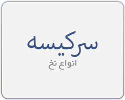 نخ سرکیسه